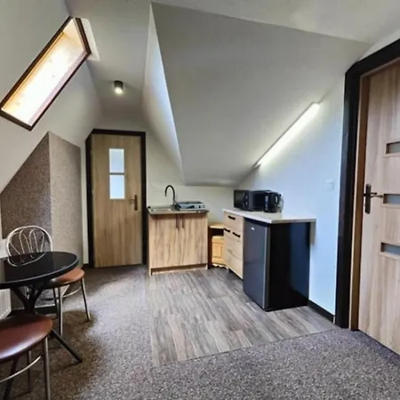 ベッド・アンド・ブレックファスト U Bialasow 3*